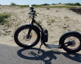 Kickbike FunStep