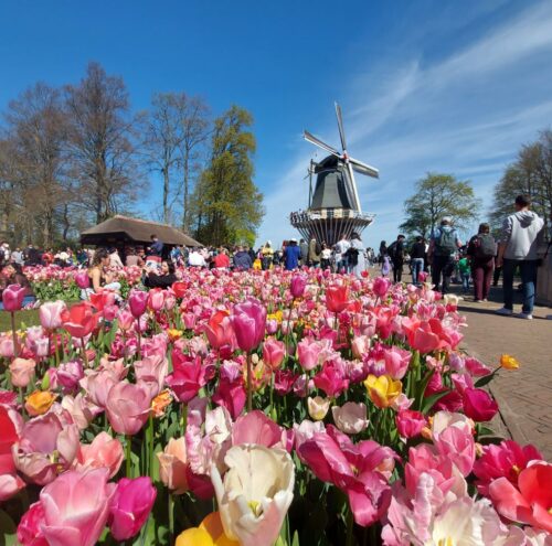 Molen in Keukenhof